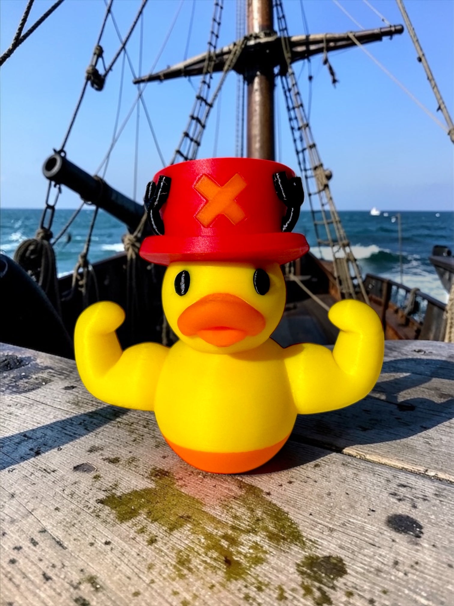 SwoleDuck Pirate: Top Hat