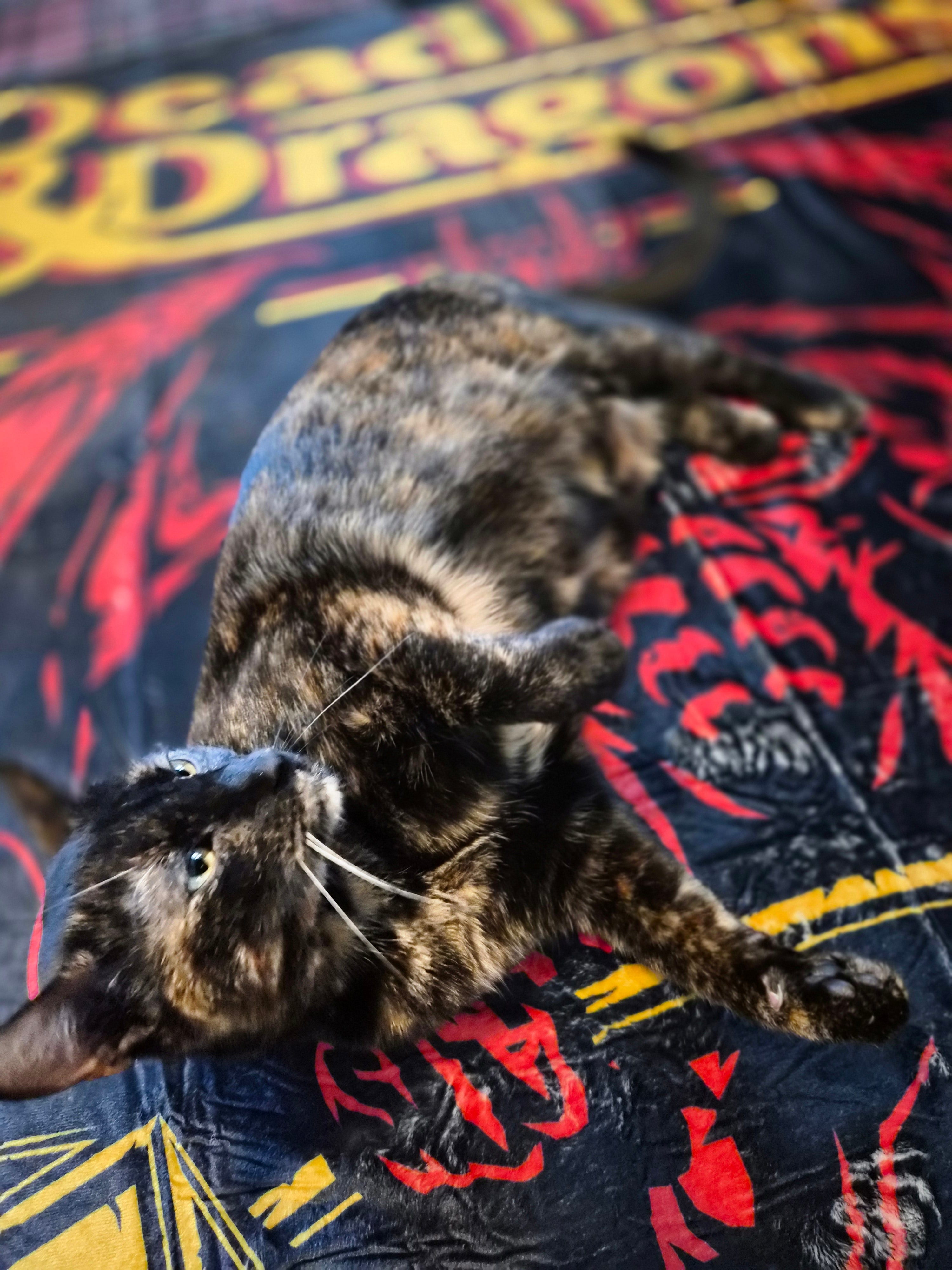 DnD Deadlifts & Dragons Blanket