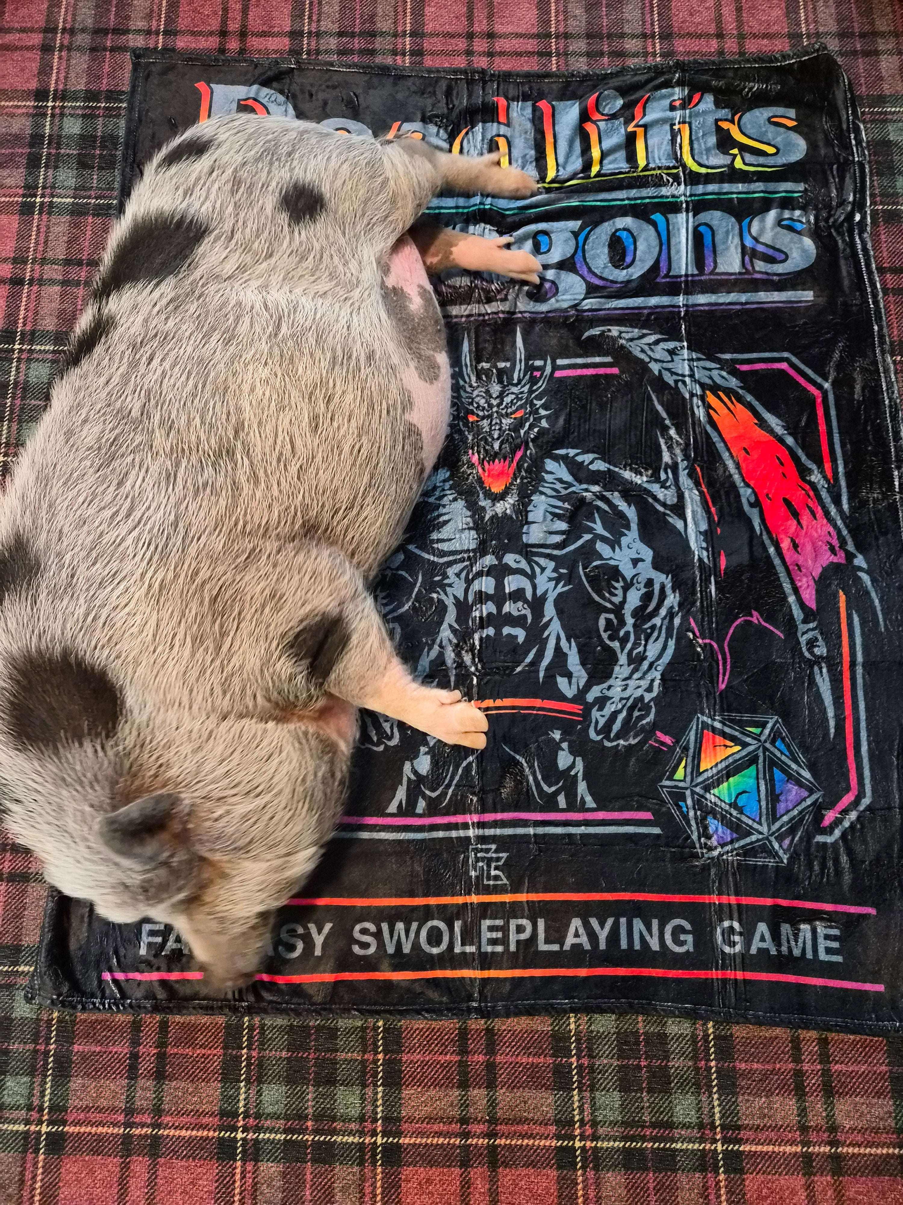 DnD Deadlifts & Dragons Blanket