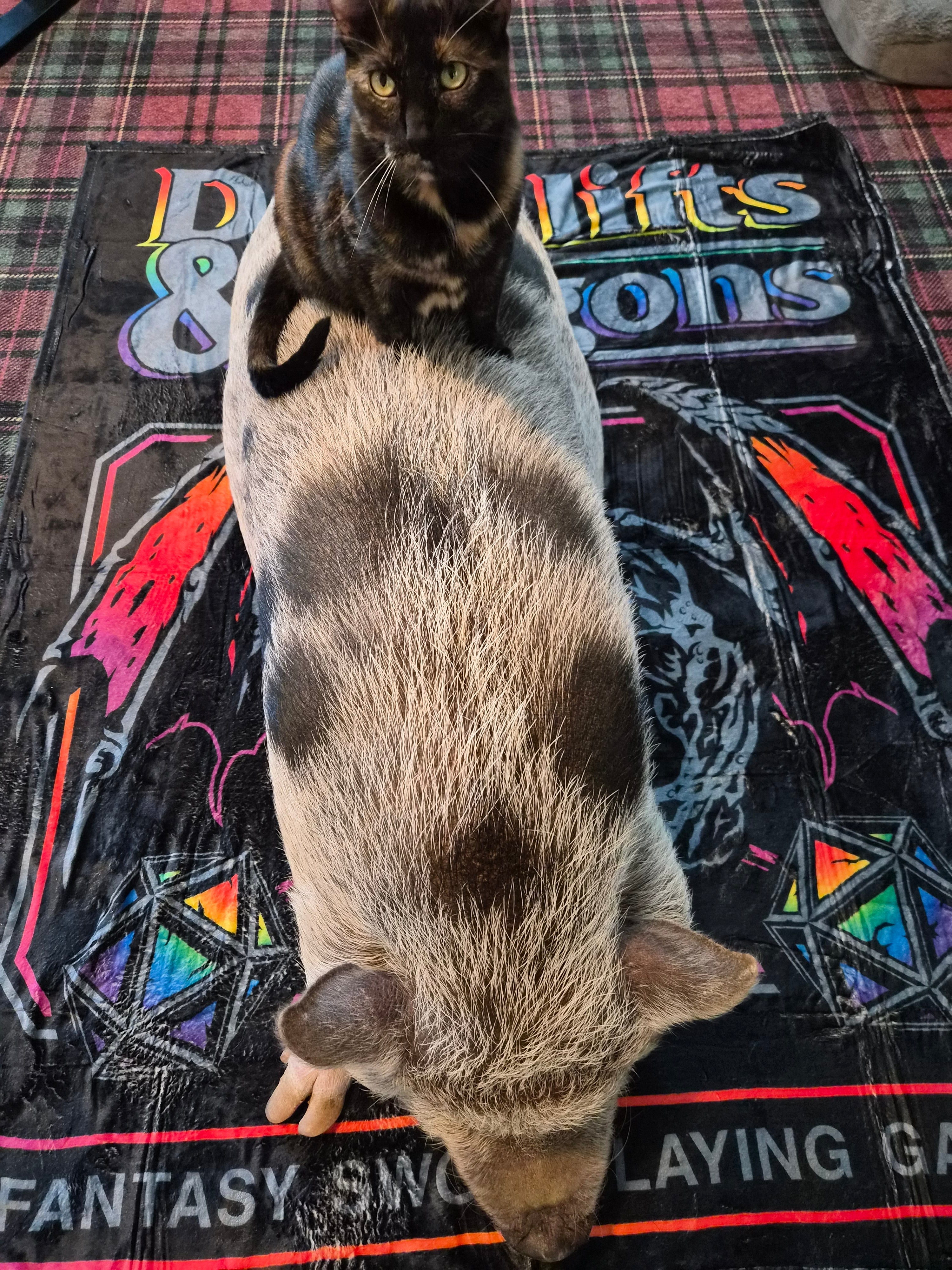 DnD Deadlifts & Dragons Blanket