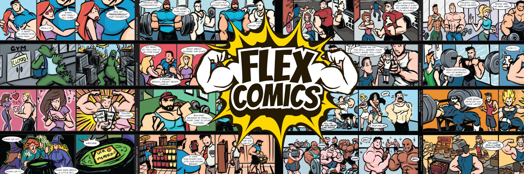 https://flexcomics.com/cdn/shop/files/All-Comics-and-Logo-Site-Banner.jpg?v=1699283689&width=1800