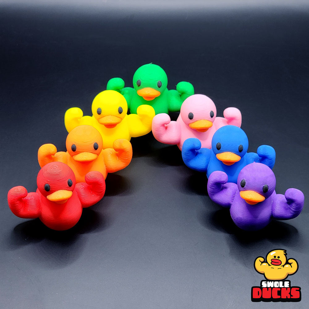 Rainbow Mini Swole Duck Pack