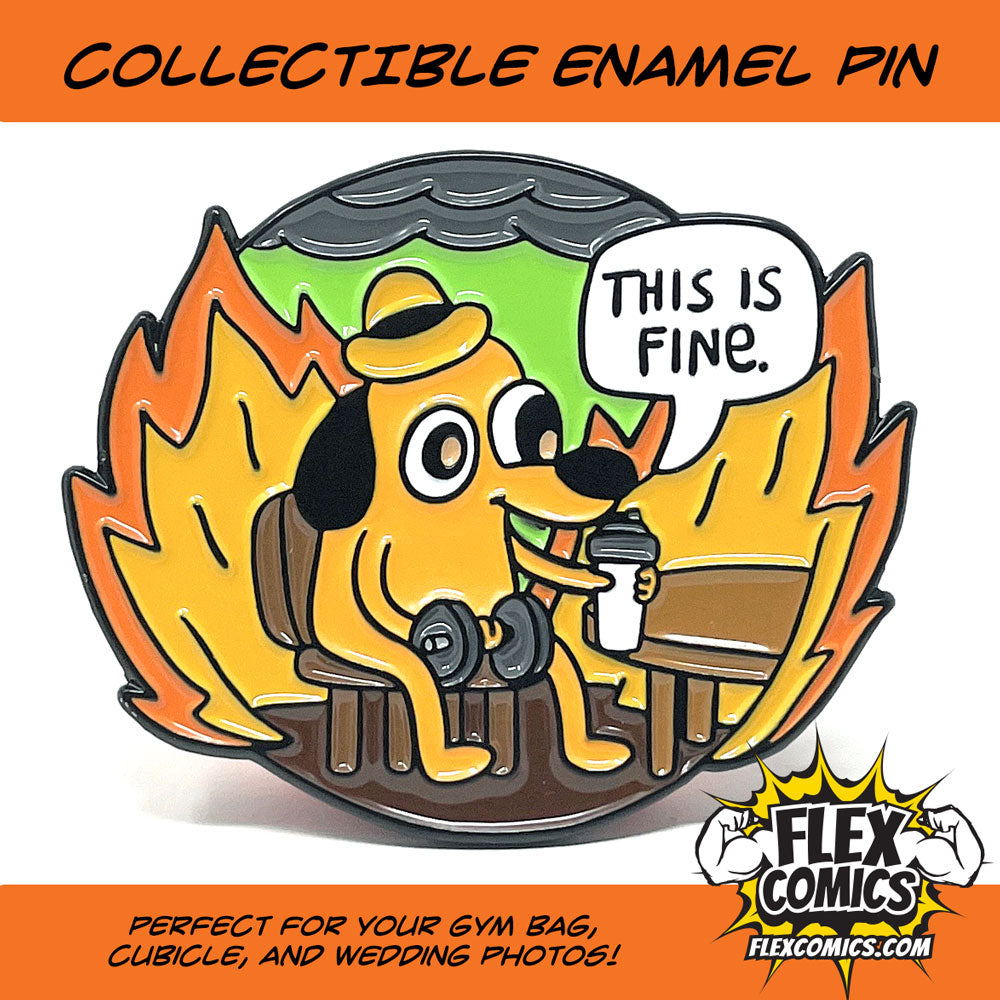 This is fine - Pin